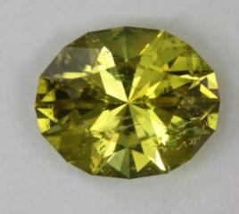 Incuded, saturated yellow oval