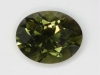 Deep Crown, Brownish Green Oval