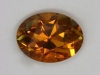 Darker golden oval with moderate flash